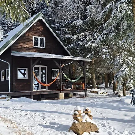 Dorota Z Widokiem Na Gory 5km Do Zieleniec Arena * Lasowka